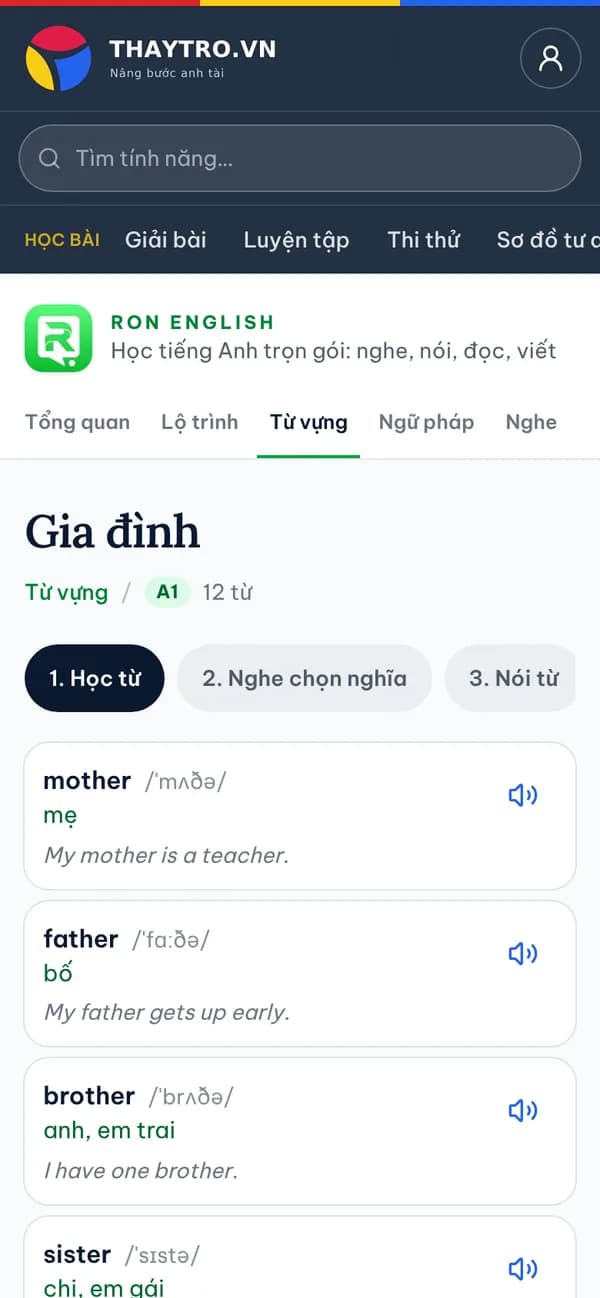 Tiếng Anh: Từ vựng chủ đề Gia đình: thẻ từ có phiên âm IPA, nghĩa, loa nghe; học từ, nghe chọn nghĩa, nói từ